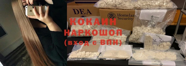 spice Богданович