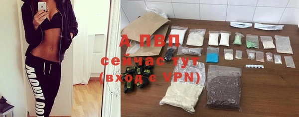 ПСИЛОЦИБИНОВЫЕ ГРИБЫ Богородск