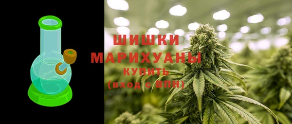 стаф Богородицк
