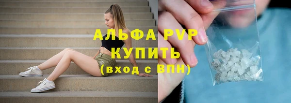 ПСИЛОЦИБИНОВЫЕ ГРИБЫ Богородск