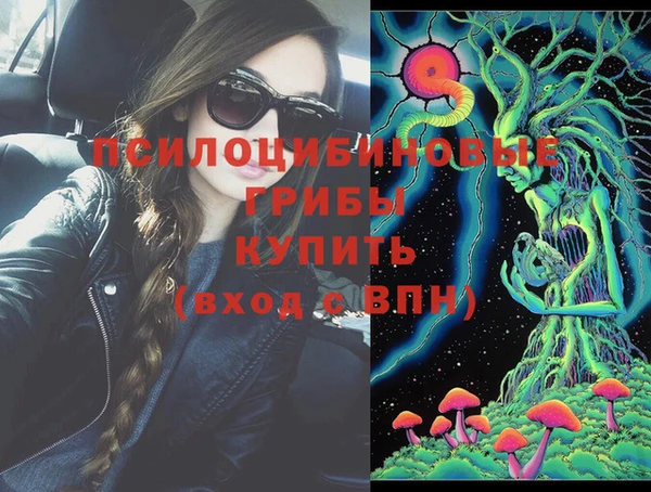 стаф Богородицк