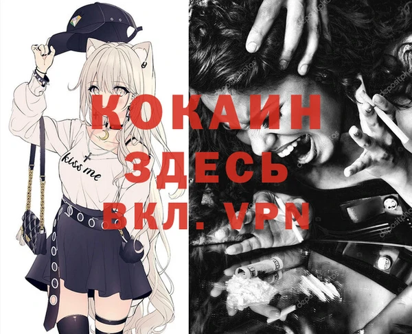 spice Богданович