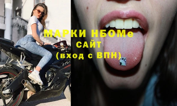 стаф Богородицк