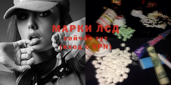 spice Богданович