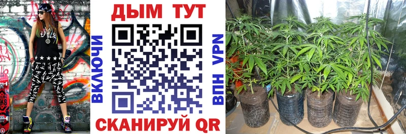где купить наркоту  Пермь  МАРИХУАНА THC 21% 